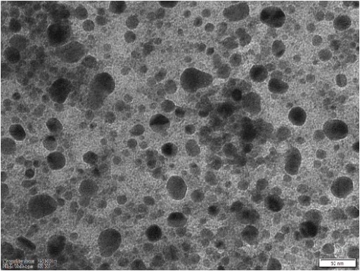 Raw Petroleum Removal from Water and Sea